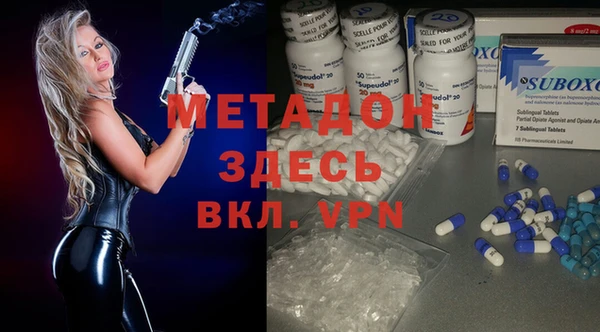 шишки Бородино