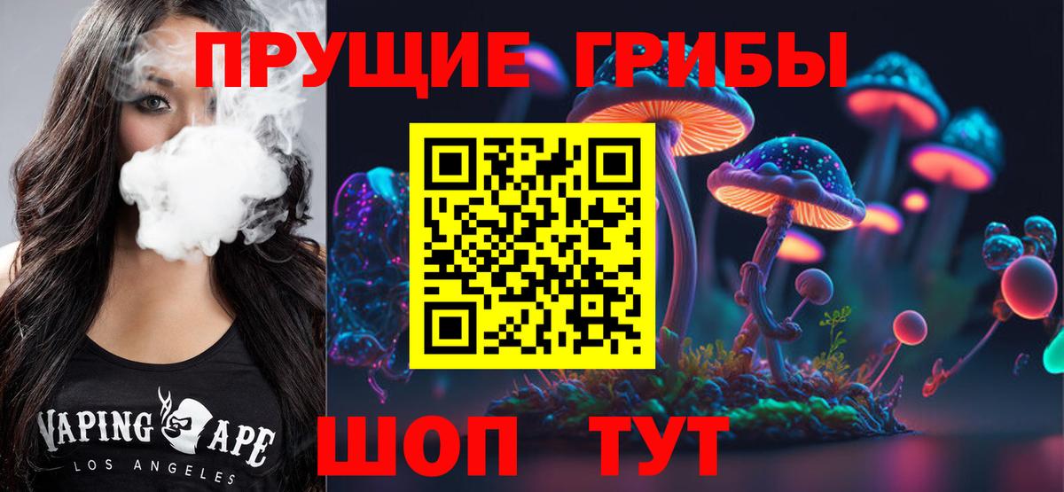 Галлюциногенные грибы Psilocybine cubensis Горячий Ключ