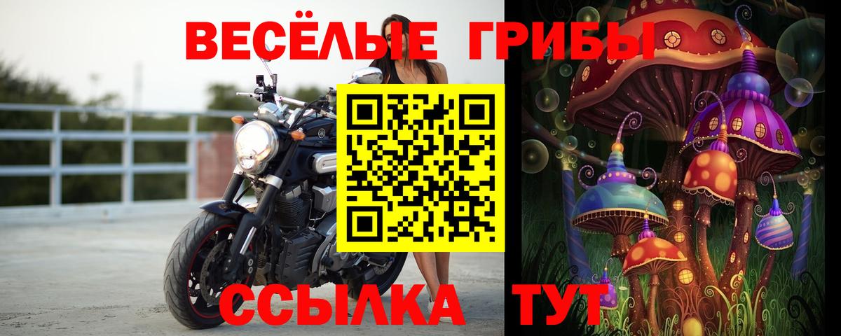 сколько стоит  Псилоцибиновые грибы ЛСД  Вход с VPN  Горячий Ключ 