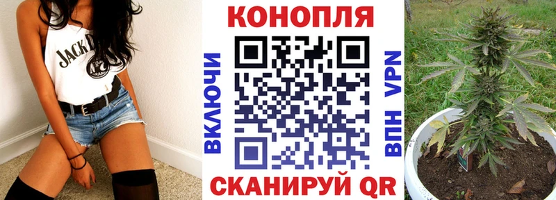 площадка как зайти  Горячий Ключ  Бошки марихуана сатива  магазин продажи  